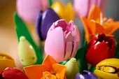 Tulip Bouquet
