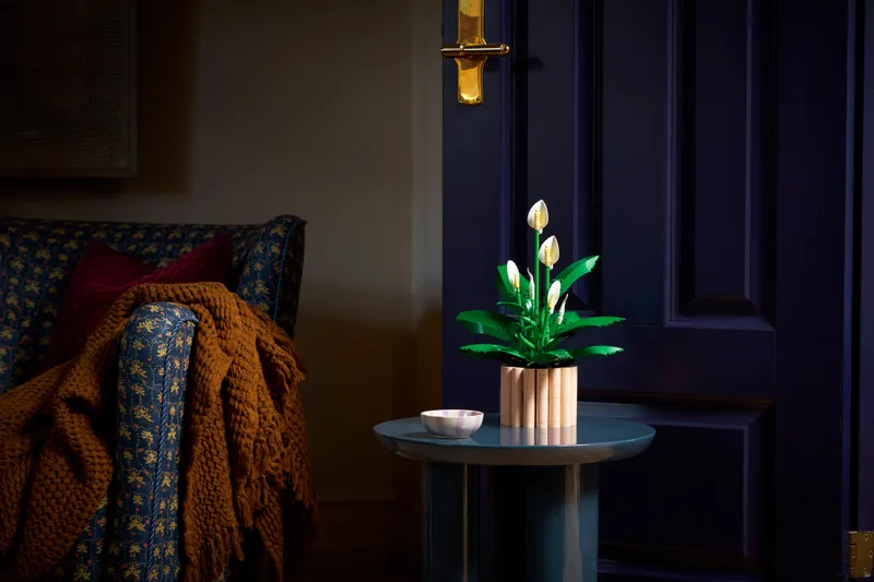 Peace Lily