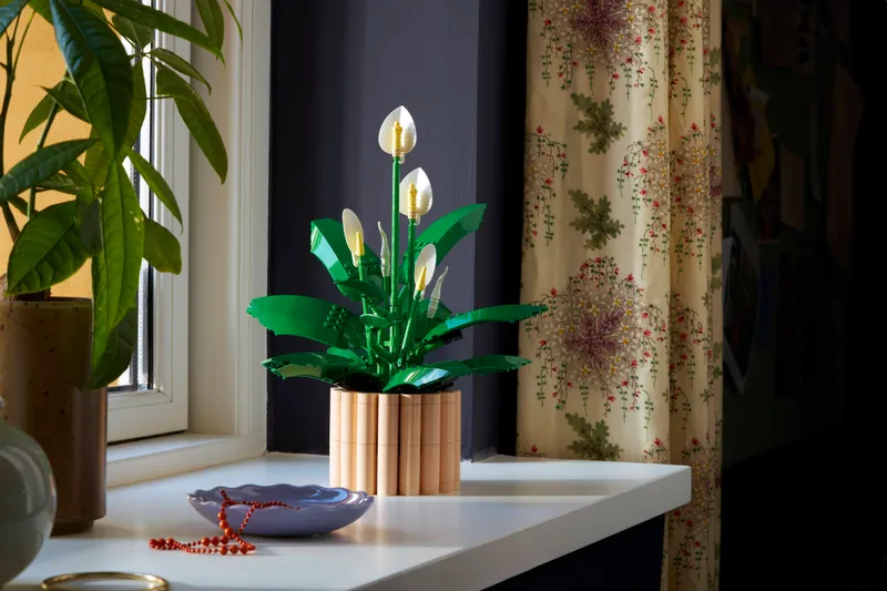 Peace Lily