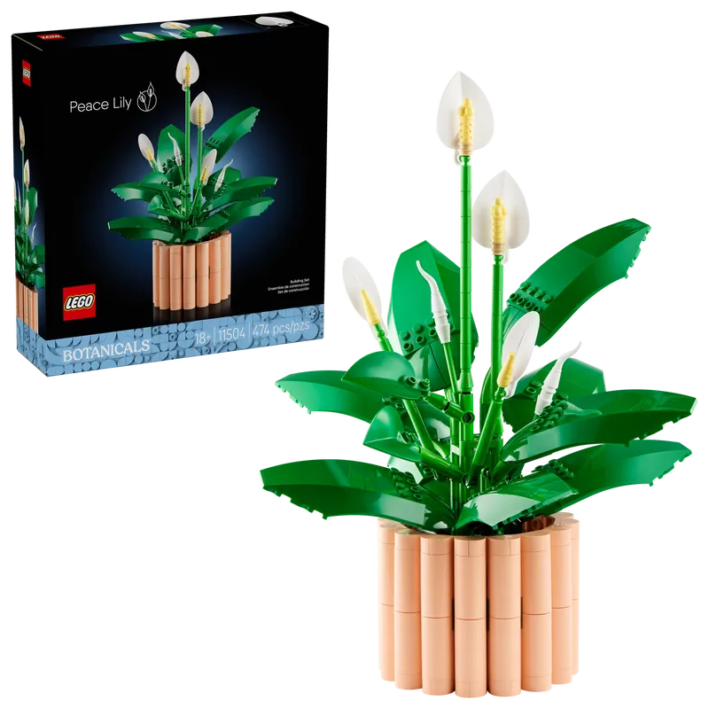 Peace Lily