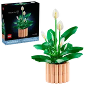 Peace Lily