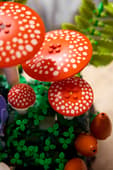 Woodland Mushrooms