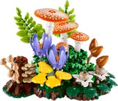 Woodland Mushrooms