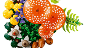 Woodland Mushrooms