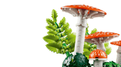 Woodland Mushrooms