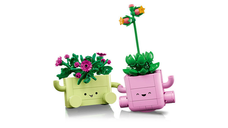 Rocking Plants