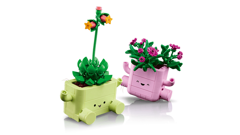 Rocking Plants