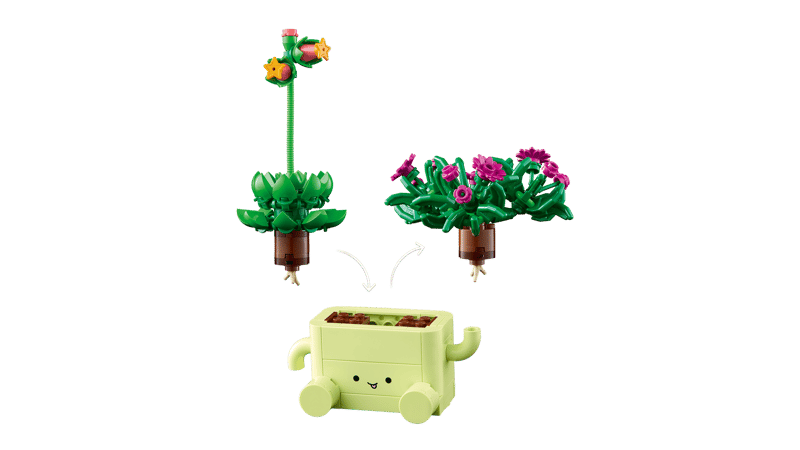 Rocking Plants