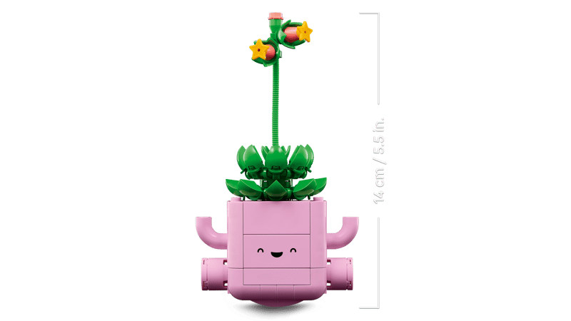 Rocking Plants