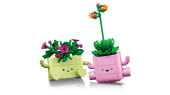 Rocking Plants
