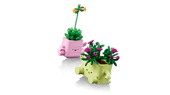 Rocking Plants