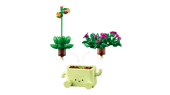 Rocking Plants