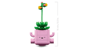 Rocking Plants