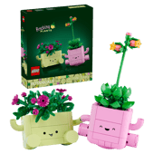 Rocking Plants