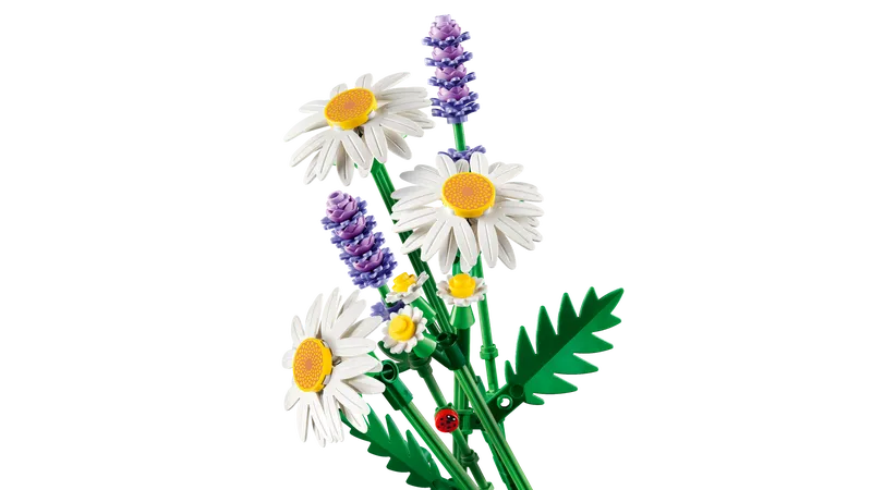 Daisies