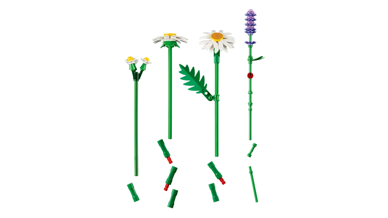 Daisies