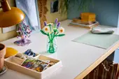 Daisies