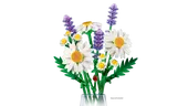 Daisies
