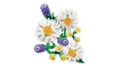 Daisies
