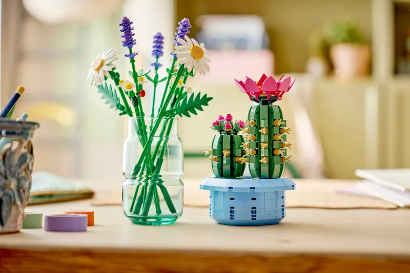 Flowering Cactus