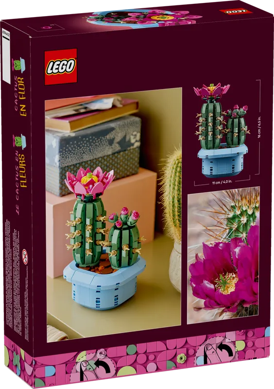Flowering Cactus