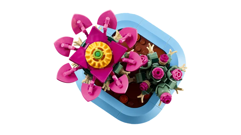 Flowering Cactus