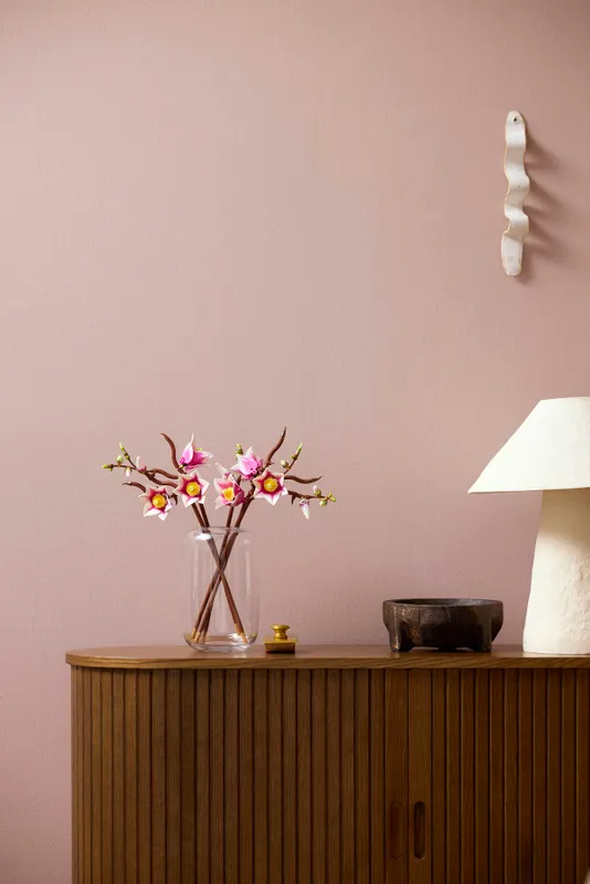 Magnolia Branches