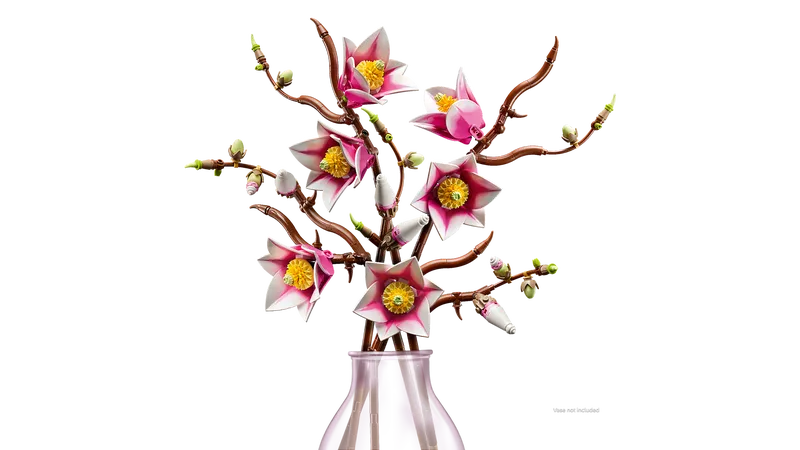 Magnolia Branches