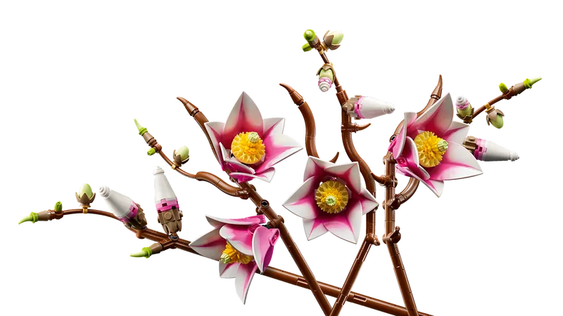 Magnolia Branches