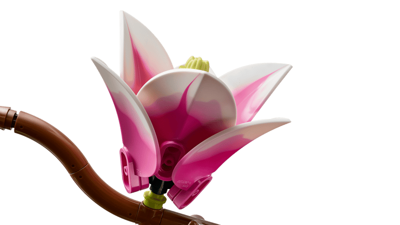 Magnolia Branches