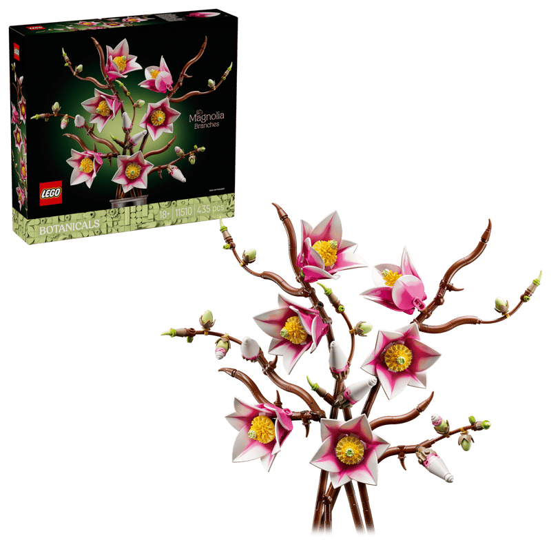 Magnolia Branches