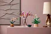 Magnolia Branches