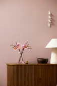 Magnolia Branches