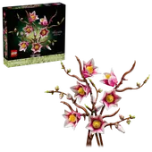 Magnolia Branches