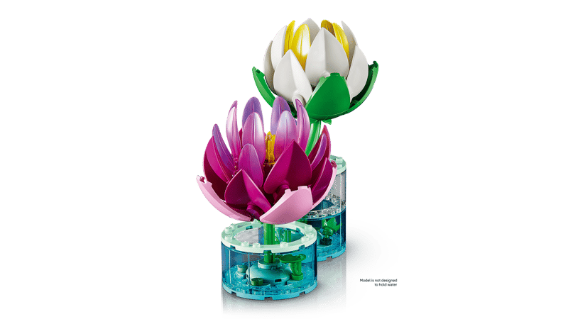 Water Lilies