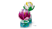 Water Lilies
