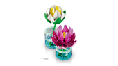 Water Lilies