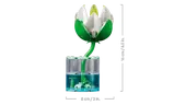 Water Lilies