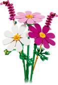 Cosmos Flowers