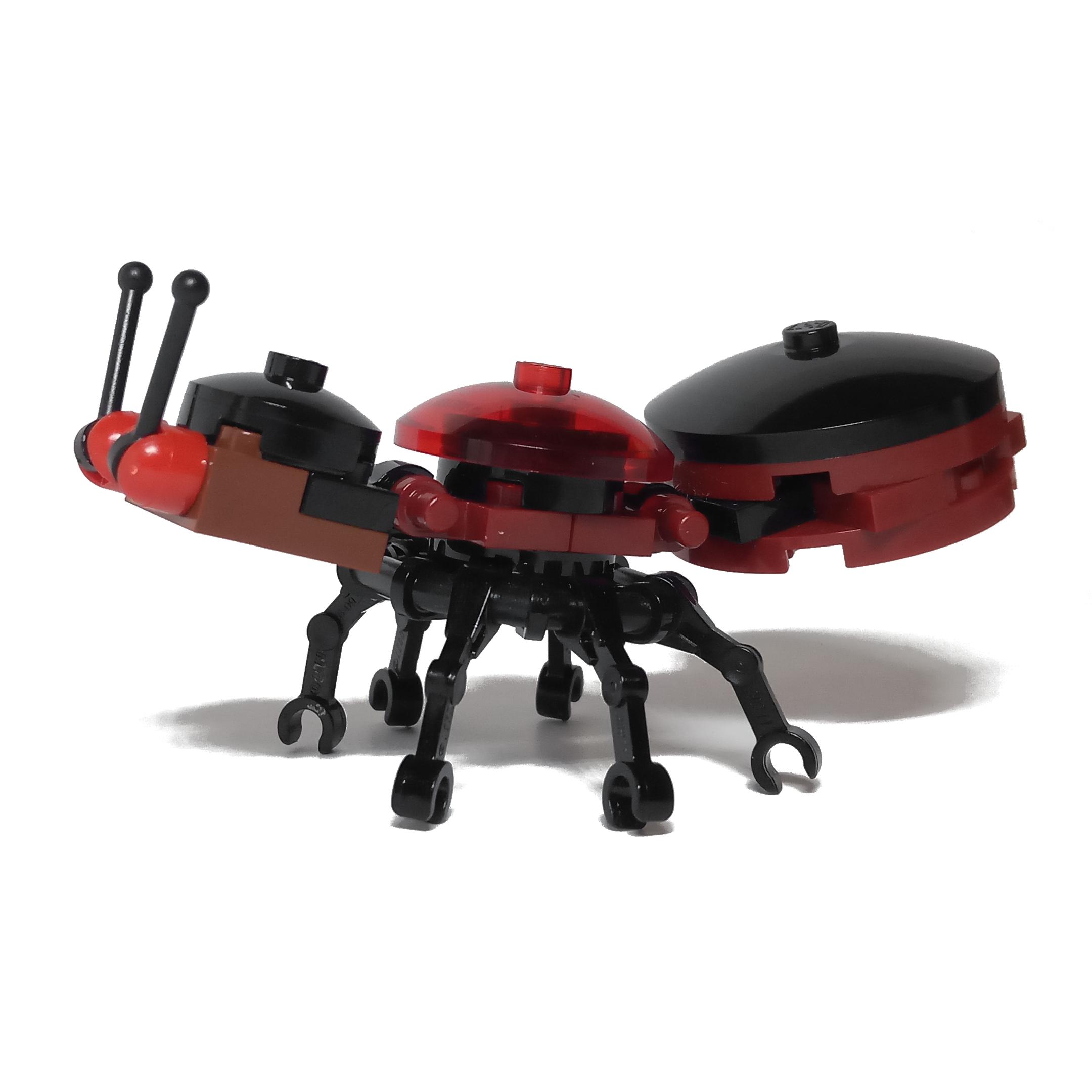 Fire Ant