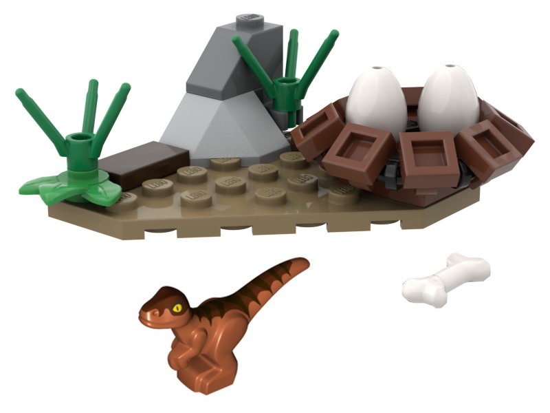 Baby Raptor and Nest