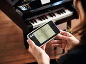 Grand Piano