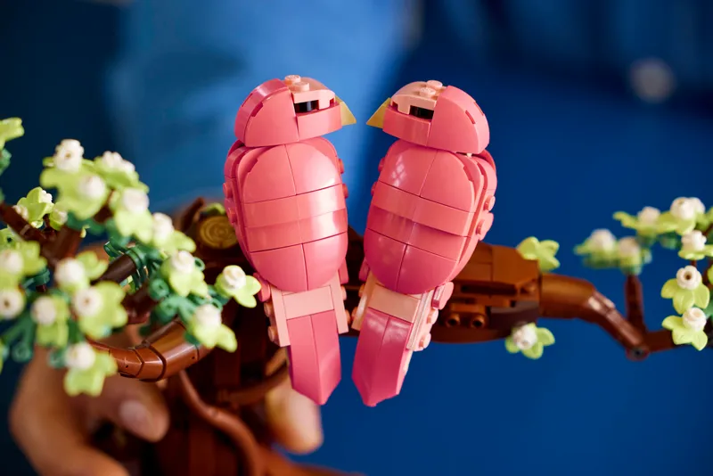 Love Birds