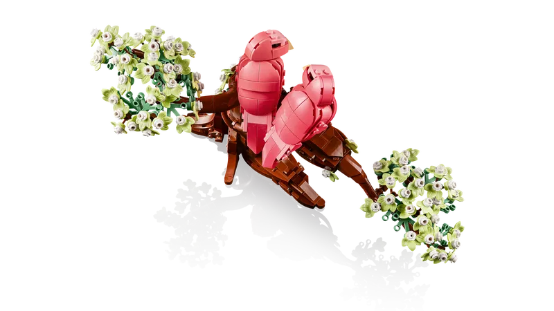 Love Birds