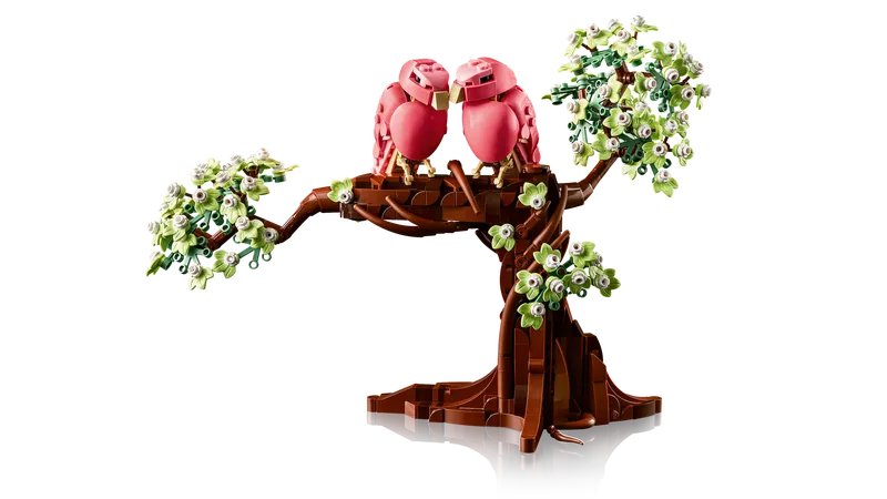 Love Birds