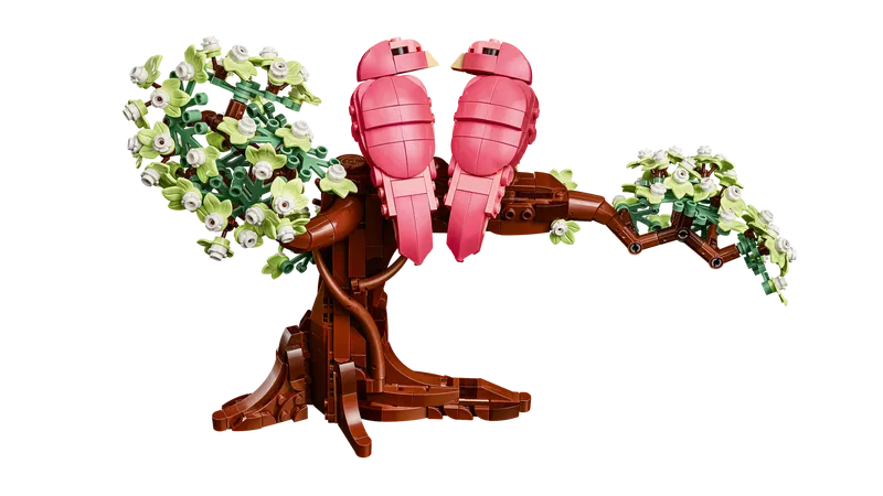 Love Birds