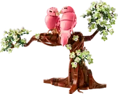 Love Birds