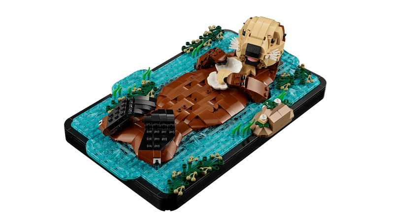 Floating Sea Otters
