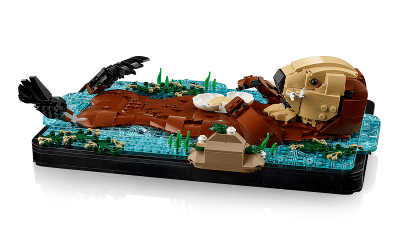 Floating Sea Otters