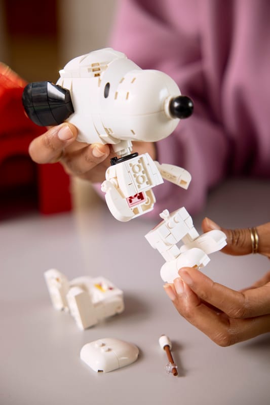 Peanuts: Snoopy's Doghouse